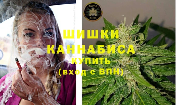 шишки Богданович